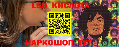 дмт Аргун