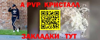 дмт Аргун