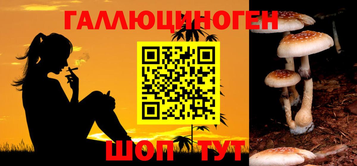 Псилоцибиновые грибы Psilocybine cubensis  Вход с VPN  Алексеевка  Псилоцибиновые грибы MAGIC MUSHROOMS 